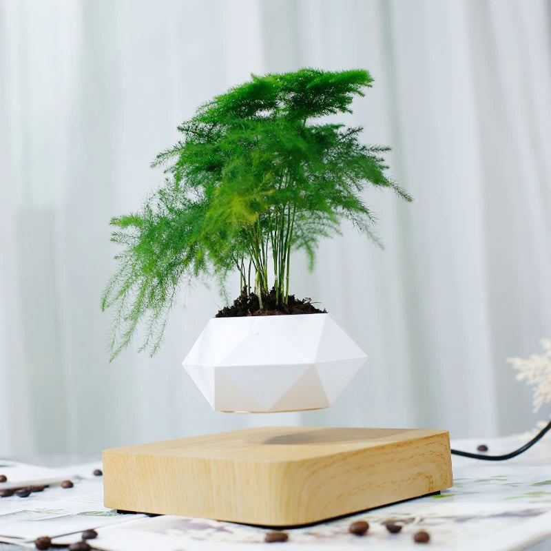 Gravity Glide: Floating Bonsai Charm